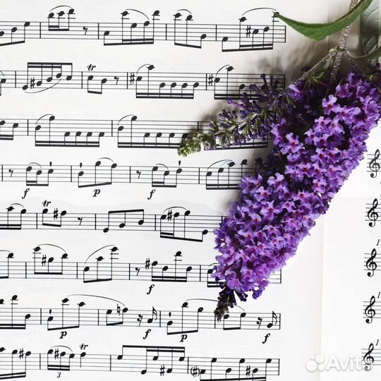 Подбор нот по слуху, набор в нотном редакторе