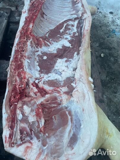 Мясо свинина домашняя