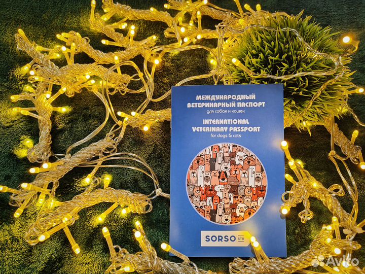 Ветеринарный паспорт