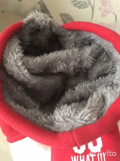 Одежда для собак