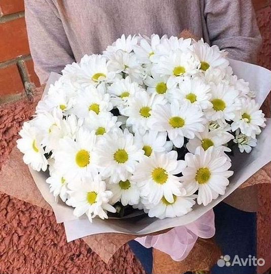 Хризантема. Букеты Цветы доставка