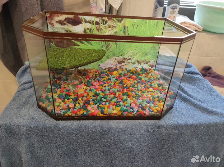 Аквариум для черепах 15-20л