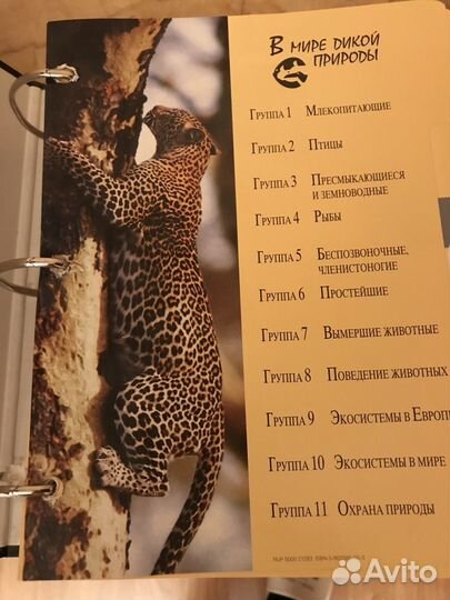 Книги (наборная коллекция) 