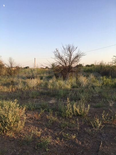 Участок 6 сот. (СНТ, ДНП)