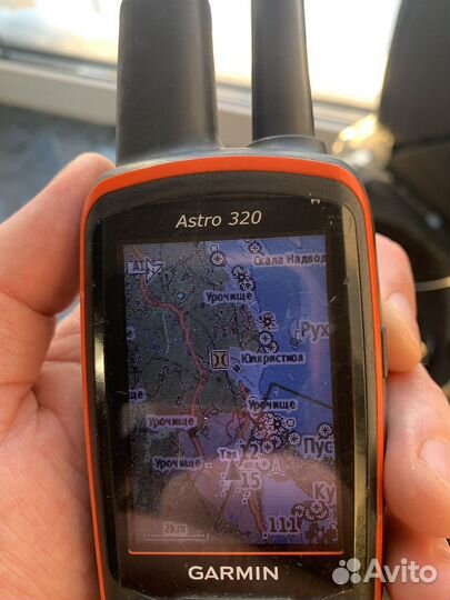 Garmin astro 320 с ошейником