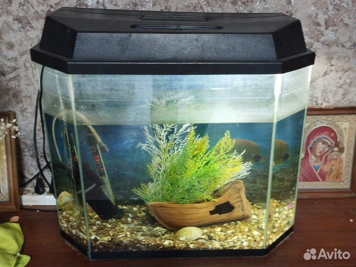 Аквариум