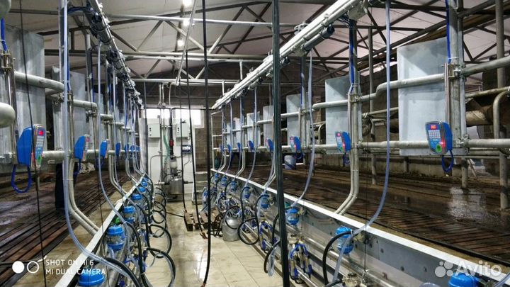 Оборудование для молочного животноводства по РФ