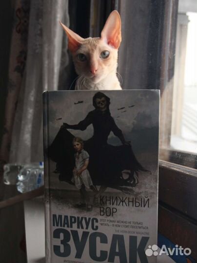 Книга книжный вор