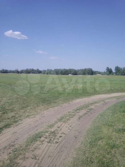 Участок 50 сот. (СНТ, ДНП)