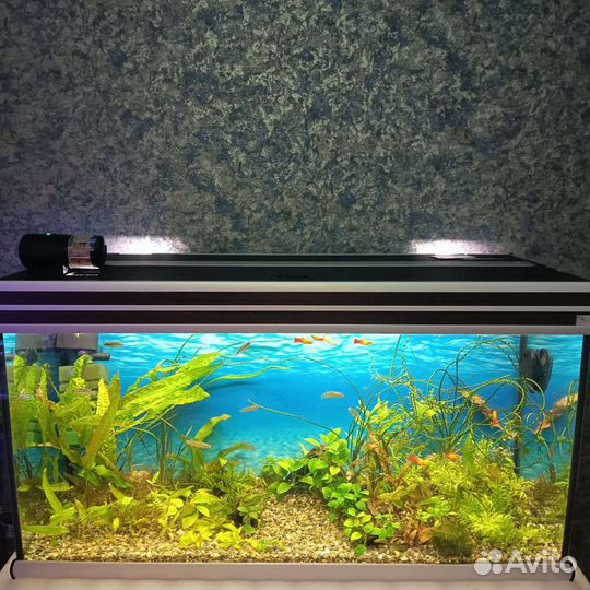 Аквариум