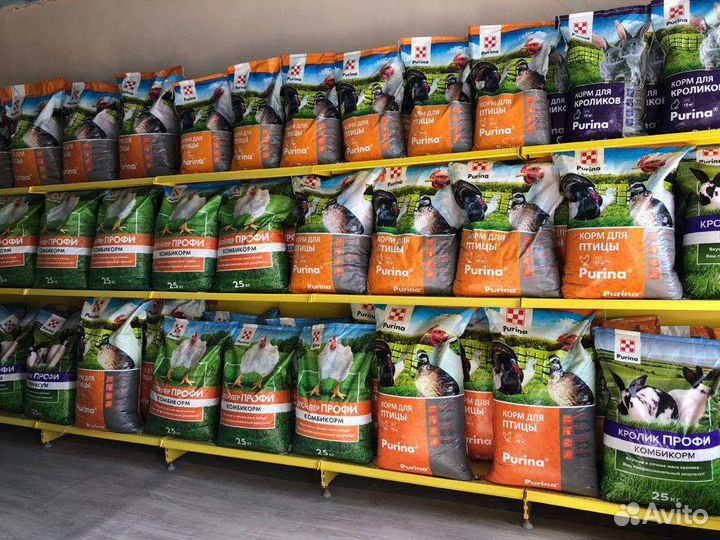 Комбикорм Purina (Пурина) для птицы и с/х животных