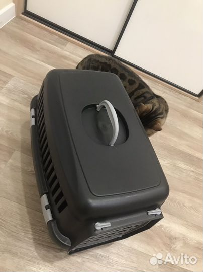 Переноска для кошек новая
