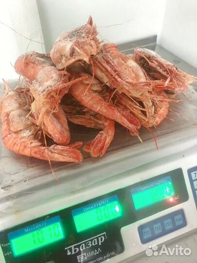 Креветка Ботан