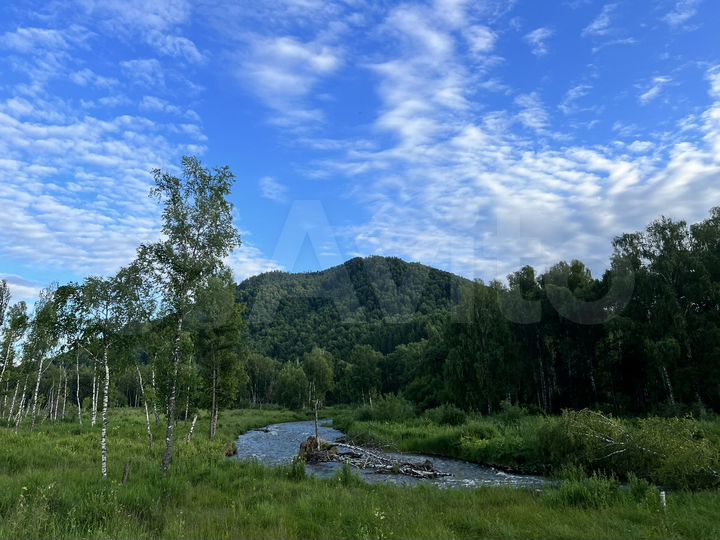 Участок 12 сот. (СНТ, ДНП)