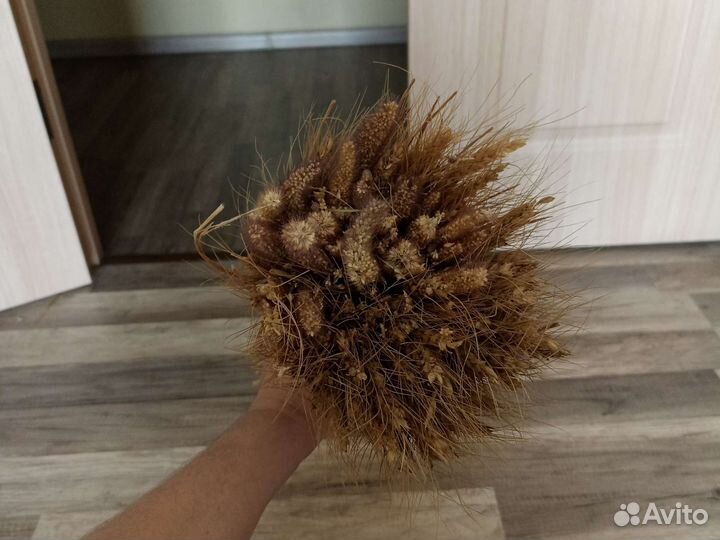 Колосья пшеницы декор