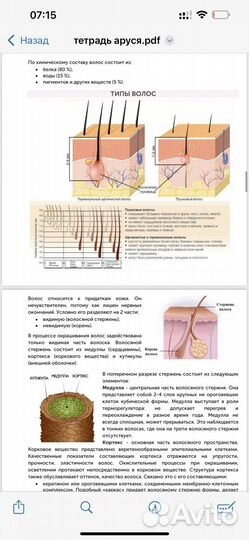 Рабочая тетрадь бровиста