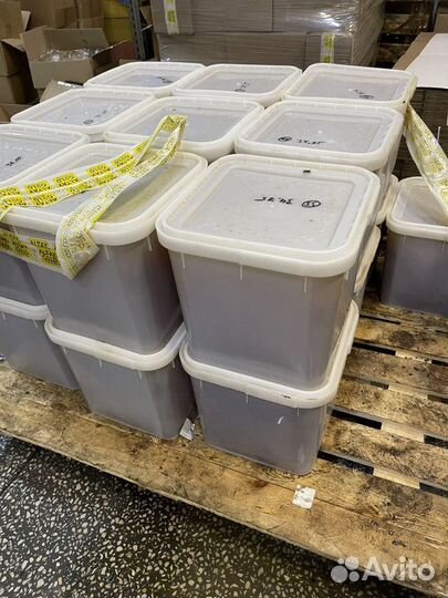 Луговой свежий мед оптом