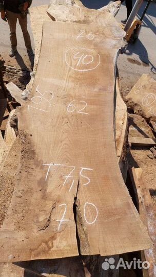 Слэб дерева Каповый карагач