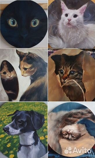 Портрет любимого кота маслом на холсте