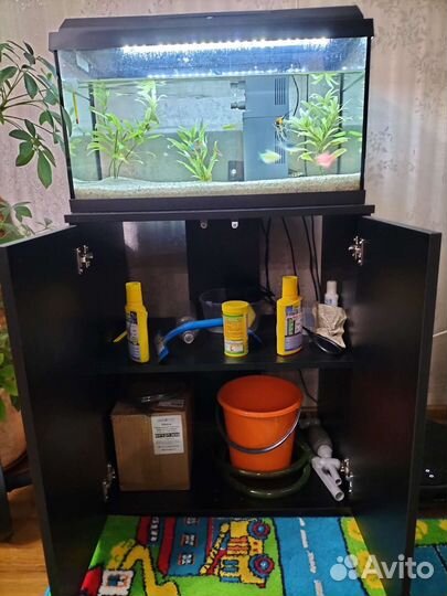 Аквариум с рыбами