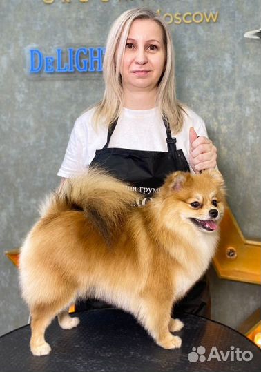 Грумер стрижка собак