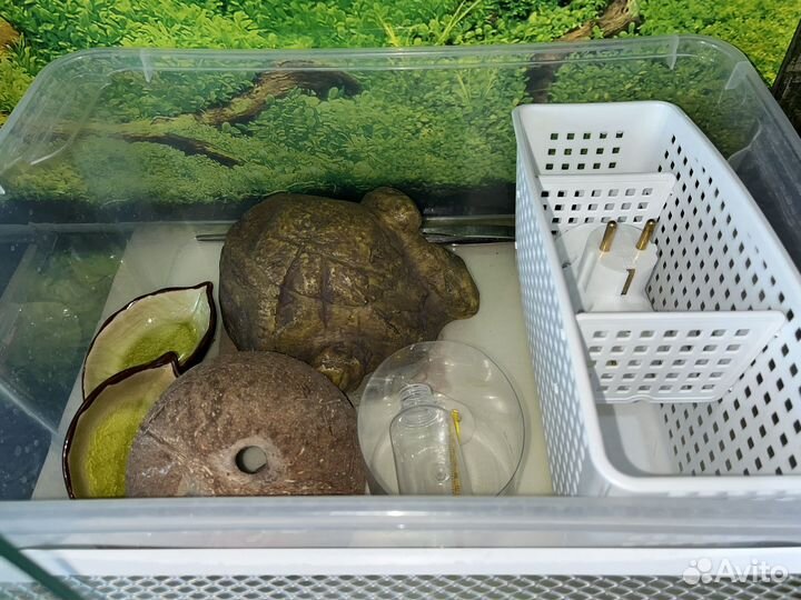 Террариум для рептилий бу