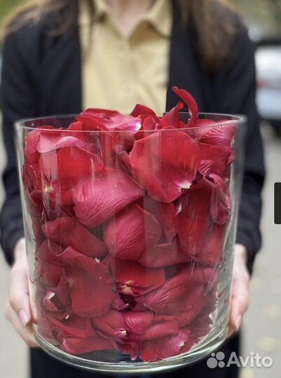 Лепести Роз