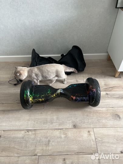 Гироскутер