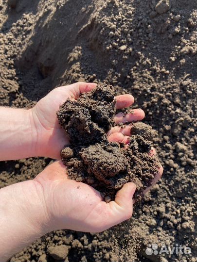 Чернозём, грунт, торфосмесь, перегнной с доставкой