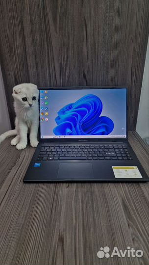 Asus с oled экраном