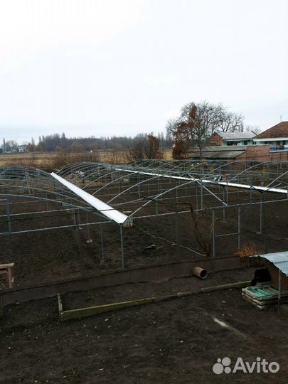 Теплица парники