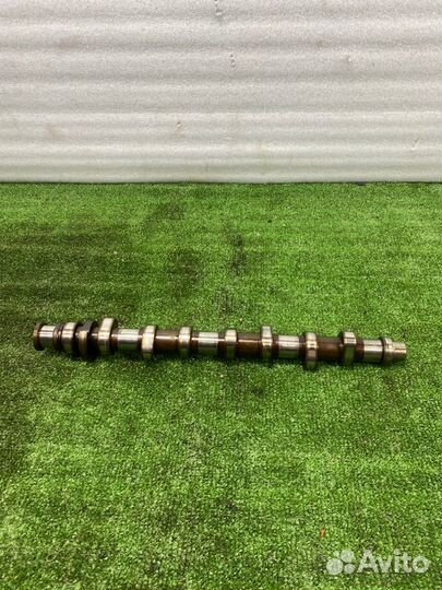 Распредвал Volkswagen Golf хетчбэк 1.6 102 Л.С