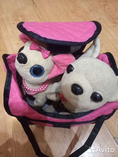 Собачка чичилав