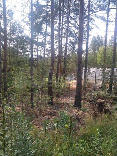 Участок 11,8 сот. (ИЖС)