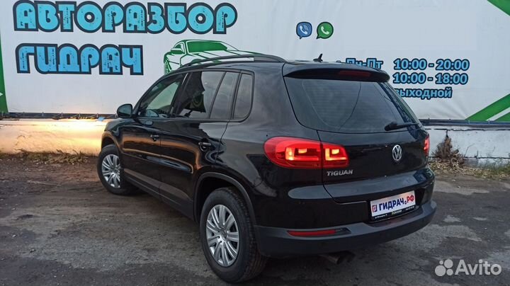 Петля двери правая задняя Volkswagen Tiguan 5N0831