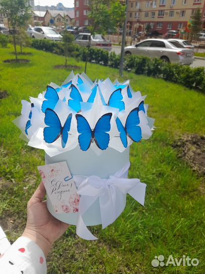 Светящиеся бабочки в коробке