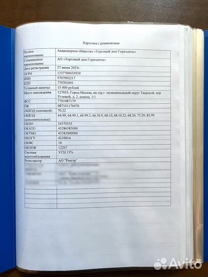 Ао «Торговый дом Горизонты». Готовое ао