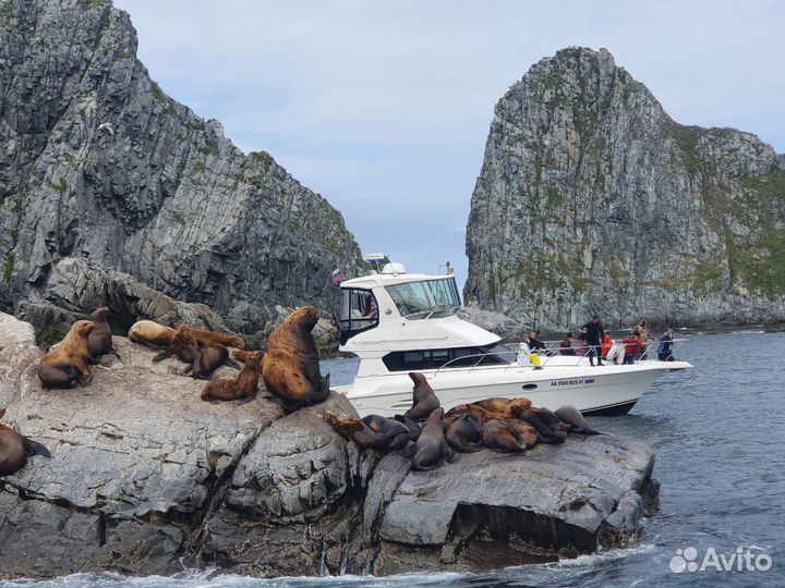 Аренда яхты, рыбалка, морские прогулки