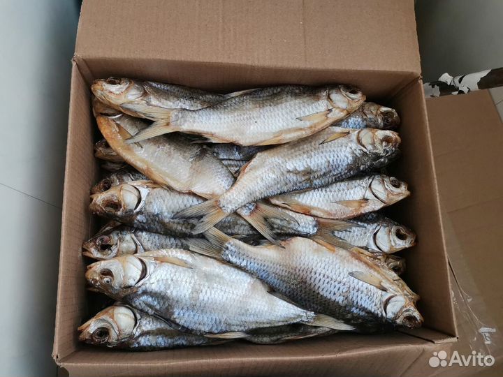 Вобла в наличии в Москве