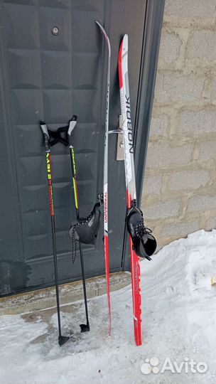 Беговые лыжи