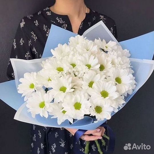 Хризантема Букет хризантем Доставка