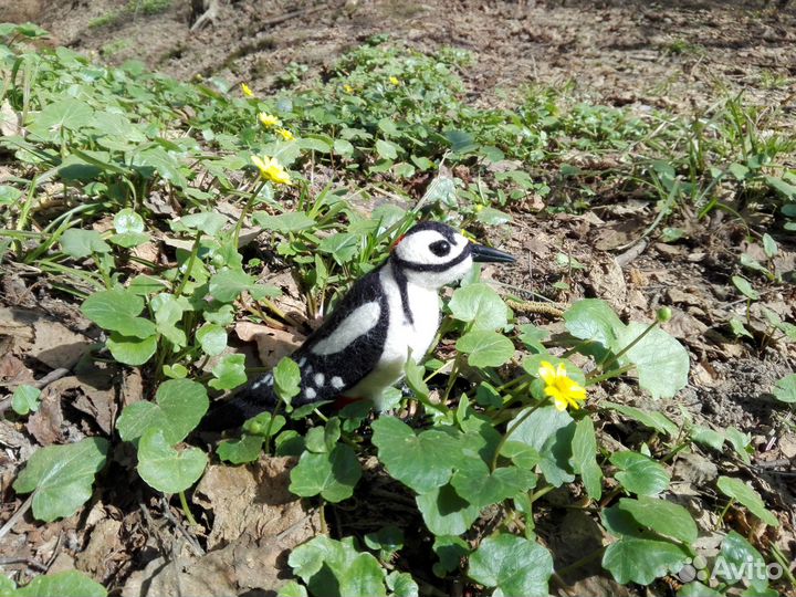 Войлочный дятел