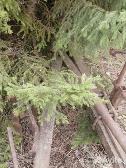 Плуг к мтз, юмз, 6 корпусов