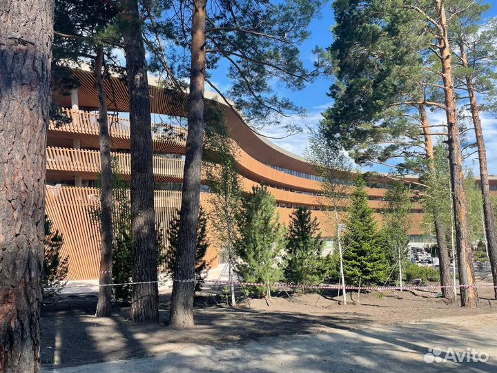 Горничные в Манжерок, вахта