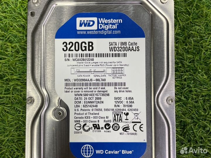 Western Digital WD Blue 320 гб WD3200aajs