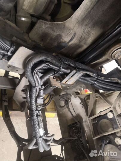 Новая электропроводка коса(жгут)на DAF с акпп/мкпп