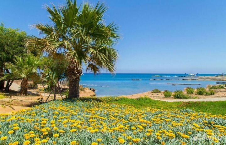 Путевка на Cyprus на 7 дн