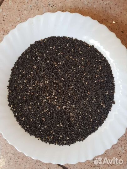 Черный грунт для аквариума