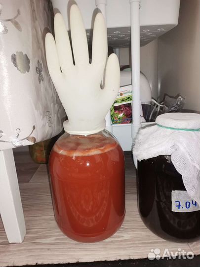 Винный гриб