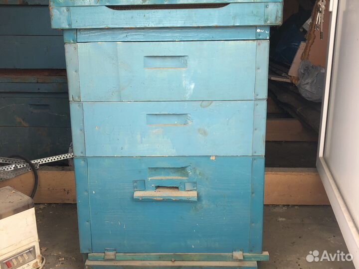 Пчелиный улей